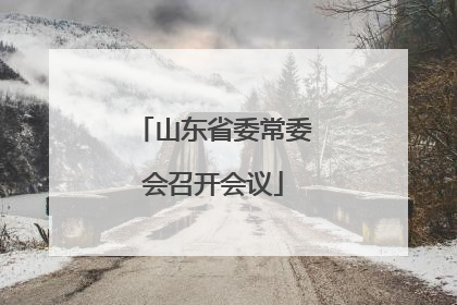 山东省委常委会召开会议