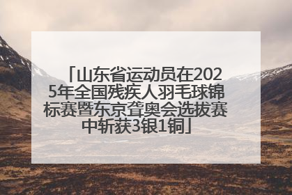山东省运动员在2025年全国残疾人羽毛球锦标赛暨东京聋奥会选拔赛中斩获3银1铜