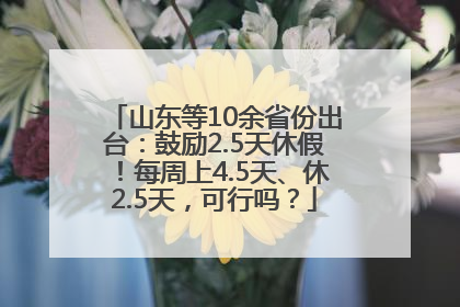 山东等10余省份出台：鼓励2.5天休假！每周上4.5天、休2.5天，可行吗？