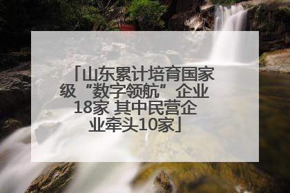 山东累计培育国家级“数字领航”企业18家 其中民营企业牵头10家