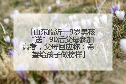 山东临沂一9岁男孩“送”90后父母参加高考，父母回应称：希望给孩子做榜样