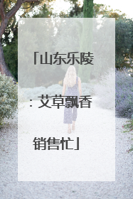 山东乐陵：艾草飘香销售忙