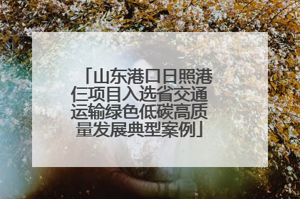 山东港口日照港仨项目入选省交通运输绿色低碳高质量发展典型案例