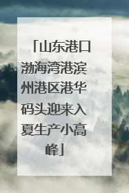 山东港口渤海湾港滨州港区港华码头迎来入夏生产小高峰