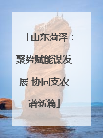 山东菏泽：聚势赋能谋发展 协同支农谱新篇
