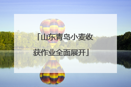 山东青岛小麦收获作业全面展开