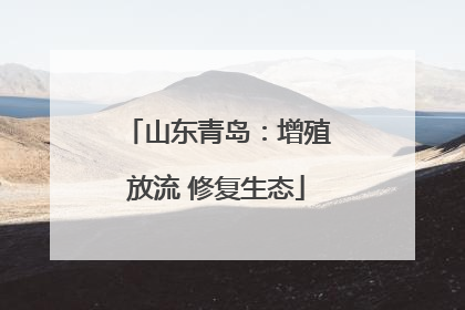 山东青岛：增殖放流 修复生态
