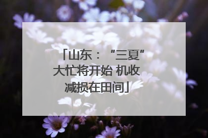 山东：“三夏”大忙将开始 机收减损在田间