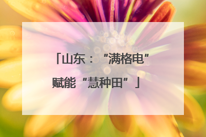 山东：“满格电”赋能“慧种田”