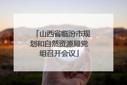 山西省临汾市规划和自然资源局党组召开会议