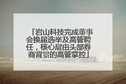 岩山科技完成董事会换届选举及高管聘任，核心层由头部券商背景的高管掌控