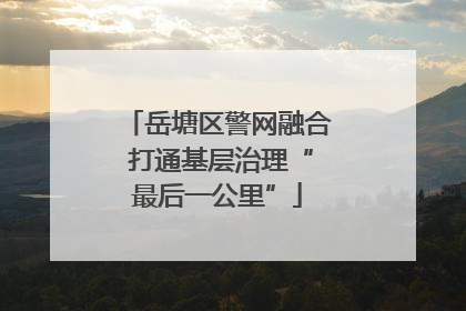 岳塘区警网融合 打通基层治理“最后一公里”