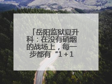 岳阳监狱夏升科：在没有硝烟的战场上，每一步都有“1＋1＝2”的笃定