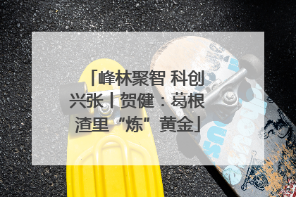 峰林聚智 科创兴张丨贺健：葛根渣里“炼”黄金