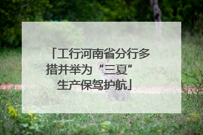 工行河南省分行多措并举为“三夏” 生产保驾护航