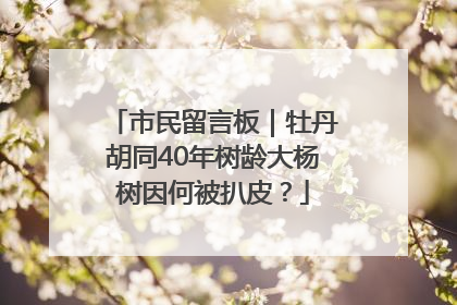 市民留言板｜牡丹胡同40年树龄大杨树因何被扒皮？
