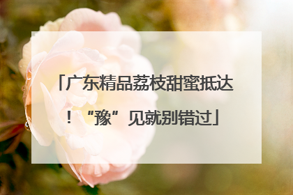 广东精品荔枝甜蜜抵达！“豫”见就别错过