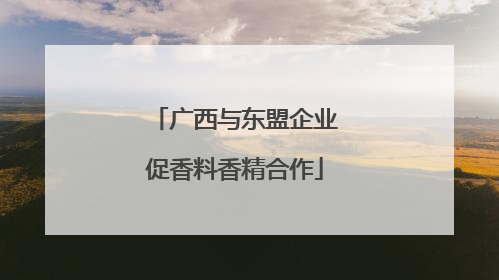 广西与东盟企业促香料香精合作
