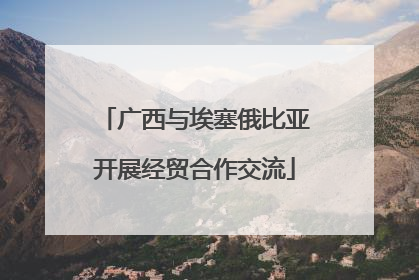 广西与埃塞俄比亚开展经贸合作交流