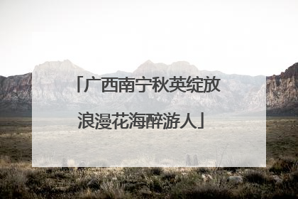 广西南宁秋英绽放 浪漫花海醉游人