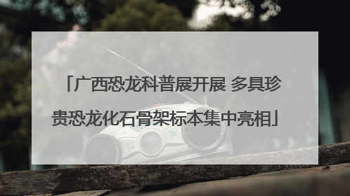 广西恐龙科普展开展 多具珍贵恐龙化石骨架标本集中亮相