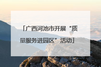 广西河池市开展“质量服务进园区”活动