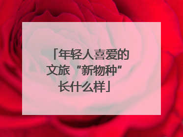 年轻人喜爱的文旅“新物种”长什么样