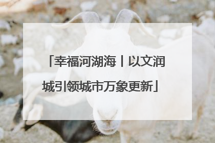 幸福河湖海丨以文润城引领城市万象更新