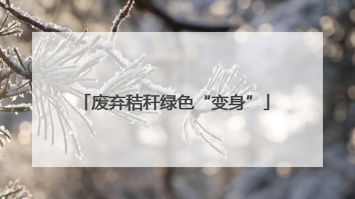 废弃秸秆绿色“变身”