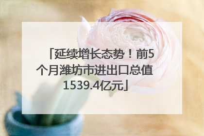 延续增长态势！前5个月潍坊市进出口总值1539.4亿元