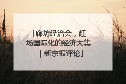 廊坊经洽会，赶一场国际化的经济大集｜新京报评论