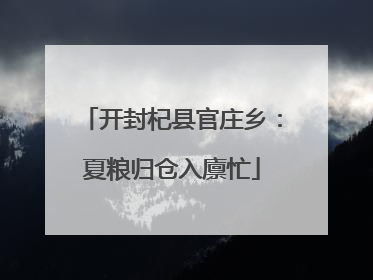 开封杞县官庄乡：夏粮归仓入廪忙