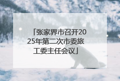 张家界市召开2025年第二次市委旅工委主任会议