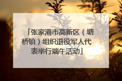 张家港市高新区（塘桥镇）组织退役军人代表举行端午活动