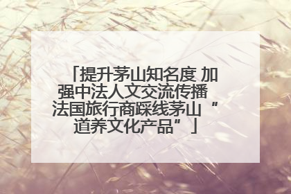 提升茅山知名度 加强中法人文交流传播 法国旅行商踩线茅山“道养文化产品”