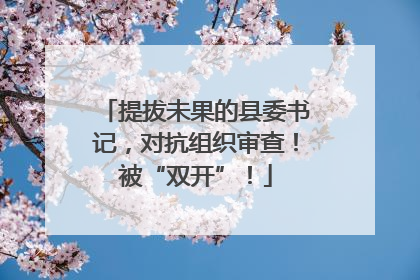 提拔未果的县委书记，对抗组织审查！被“双开”！