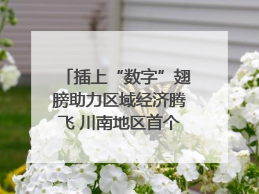 插上“数字”翅膀助力区域经济腾飞 川南地区首个智算中心启动