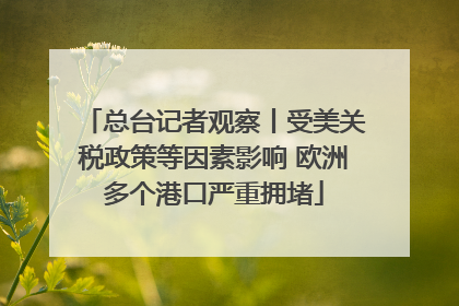 总台记者观察丨受美关税政策等因素影响 欧洲多个港口严重拥堵