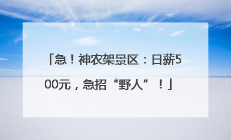 急！神农架景区：日薪500元，急招“野人”！