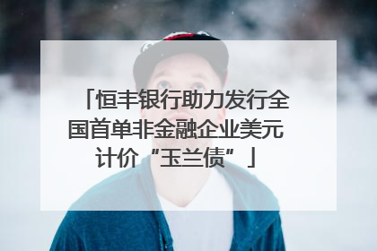 恒丰银行助力发行全国首单非金融企业美元计价“玉兰债”
