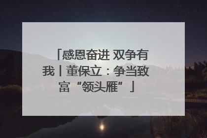 感恩奋进 双争有我丨董保立：争当致富“领头雁”