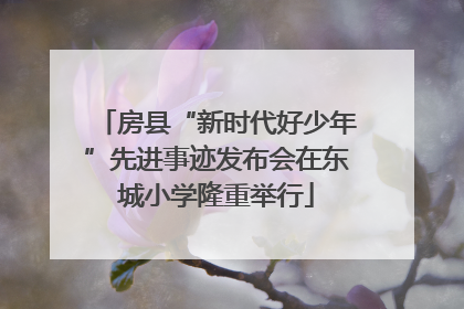 房县“新时代好少年”先进事迹发布会在东城小学隆重举行