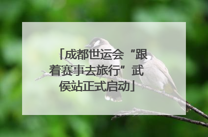 成都世运会“跟着赛事去旅行”武侯站正式启动