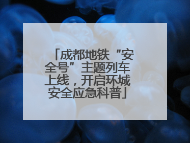成都地铁“安全号”主题列车上线，开启环城安全应急科普