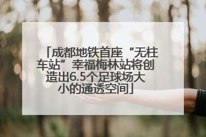 成都地铁首座“无柱车站”幸福梅林站将创造出6.5个足球场大小的通透空间