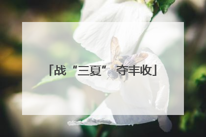 战“三夏” 夺丰收