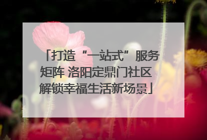 打造“一站式”服务矩阵 洛阳定鼎门社区解锁幸福生活新场景