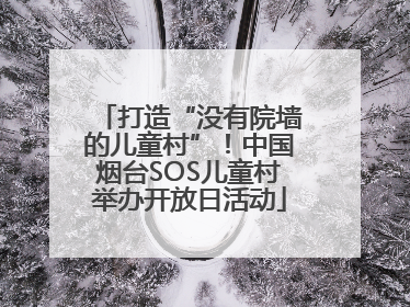 打造“没有院墙的儿童村”！中国烟台SOS儿童村举办开放日活动