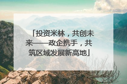 投资米林，共创未来——政企携手，共筑区域发展新高地