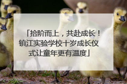 拾阶而上，共赴成长！镇江实验学校十岁成长仪式让童年更有温度